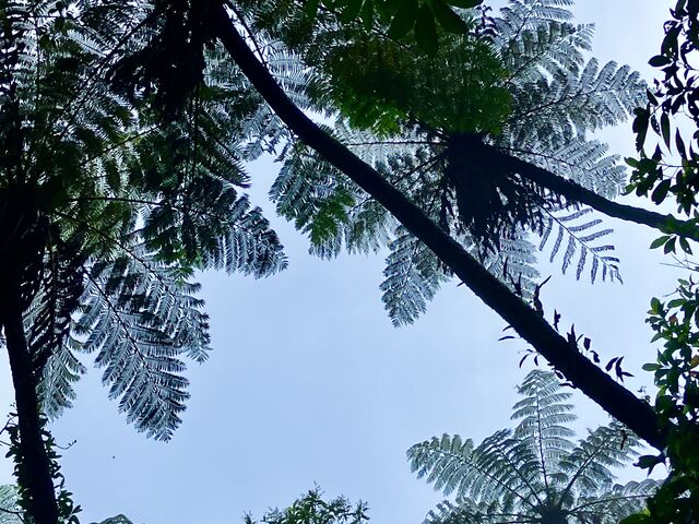 悭όKChɂڂĂʐ^ł_όlbg[N