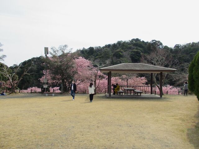 �����̌����Ă�������̗l�q�F�����Ɖ͒Í�_�͑���������