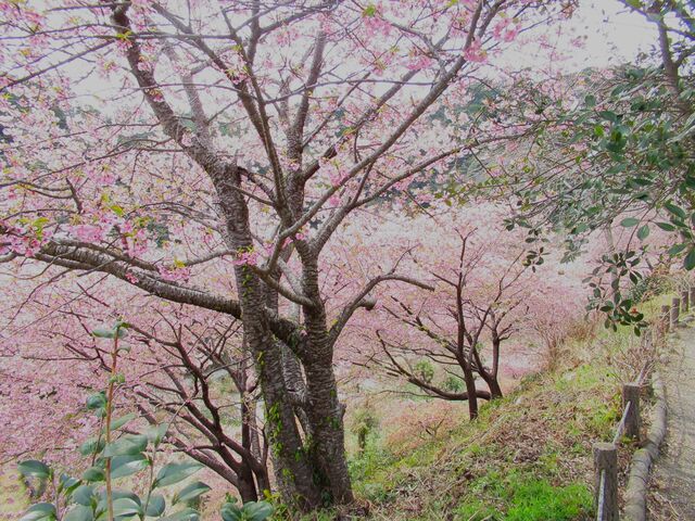 �����̉͒Í�_�͑���������