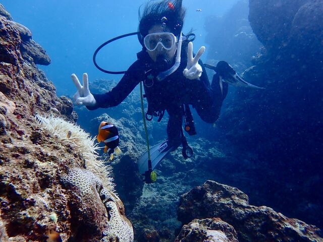 �_�C�r���O���i_����}�����T�[�r�X�u���[�P�[�u