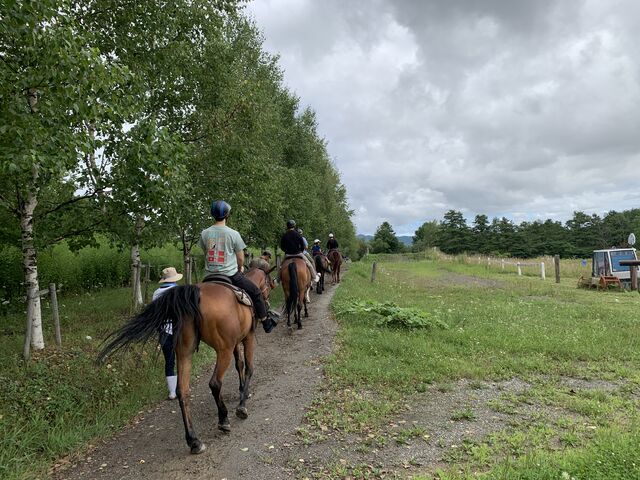 ѓR[XɌrBX}znČW̐lʐ^BĂ܂B_tmgbLOT|[gVn