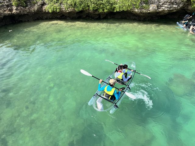 �X�^�b�t�̕�����������ʐ^���B���Ă���܂�_�{�Ó����]�[�g�X�|�[�c