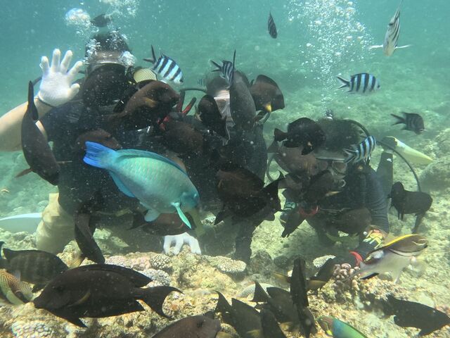 �_�C�r���O�̎ʐ^�B���Ă���܂�����_�̓��A��