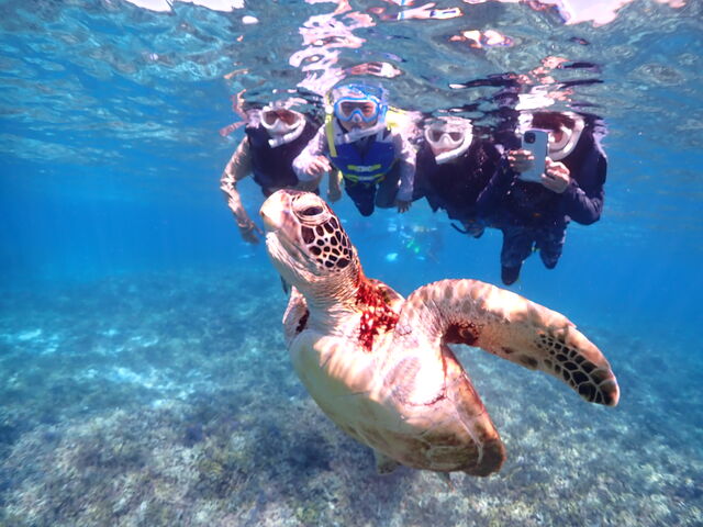 �E�~�K�������ƁA�ō��̈ꖇ�I_Lilo Miyakojima