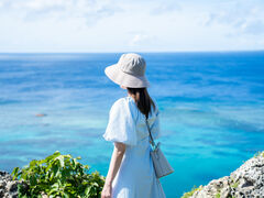 �݂�����̂��Ⴑ���тւ̓��e�ʐ^1