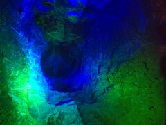 `e[}p[N nꉤ 샀[o[̎ʐ^1