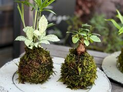 bbFlorilegeւ̓eʐ^2