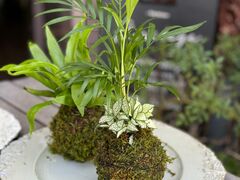 bbFlorilegeւ̓eʐ^3