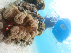 shiiiiiii̋{Ó} GB QUESTւ̓eʐ^1