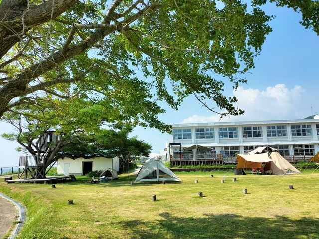 ɂɂ񂳂̃NT݊C̊wZ̓eʐ^10