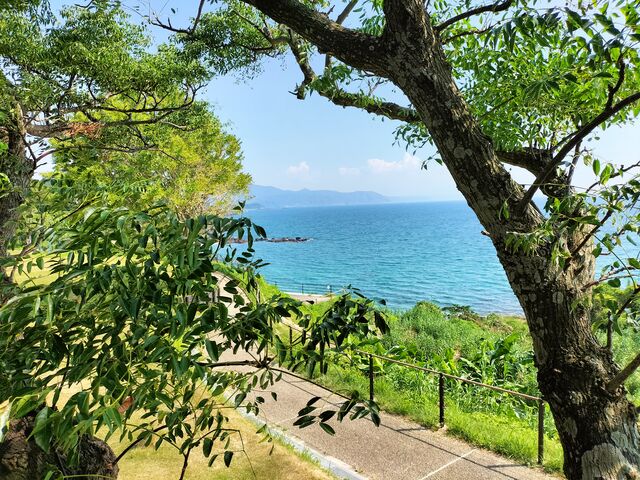 �����́E�E�E�n���C�H�H�@_���N�T�������݊C�̊w�Z