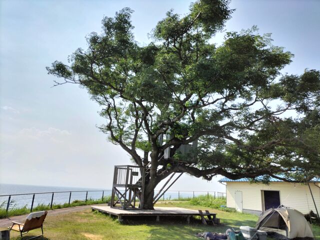 �q�������łȂ���l�����S�ɋA���{��_���N�T�������݊C�̊w�Z