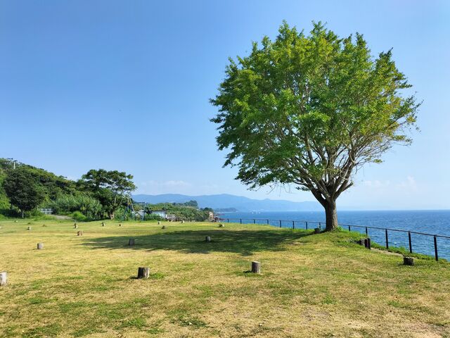 �قڂقڎՂ���̂��Ȃ��I
���{�œ�[���Ċ�������Ȃ��ł����`�I�H_���N�T�������݊C�̊w�Z