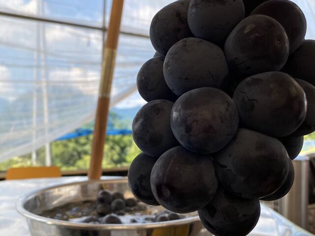 �Ƃ��Ă��Â��ł�!_�܂ق�t�@�[��