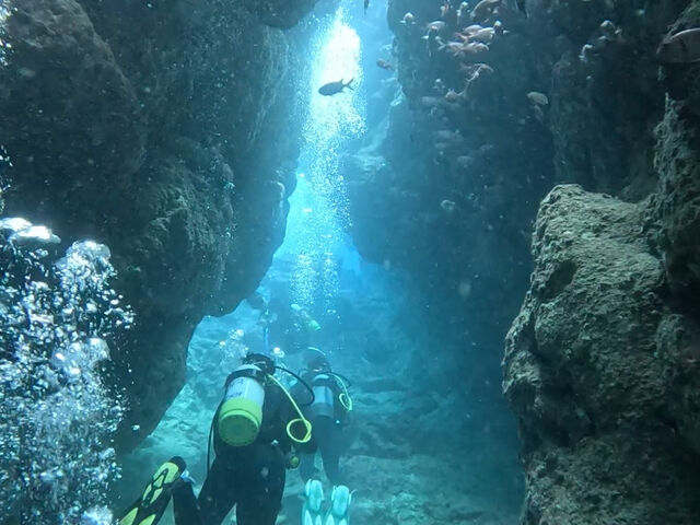 ���꓇_�_�C�r���O�T�[�r�X�W���~���O