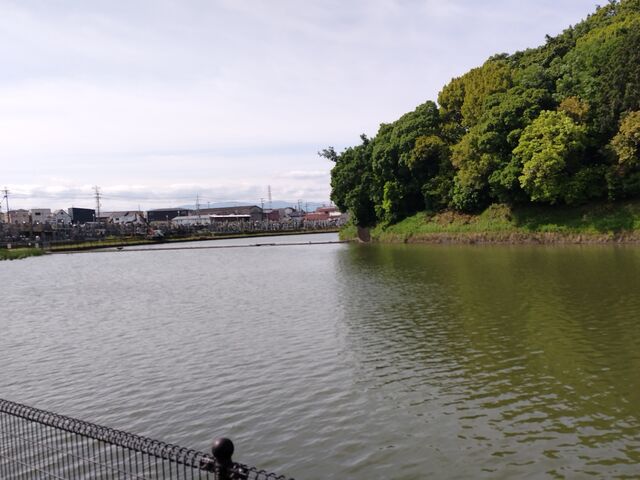 Ђ낳̃jTUCÕ̓eʐ^3