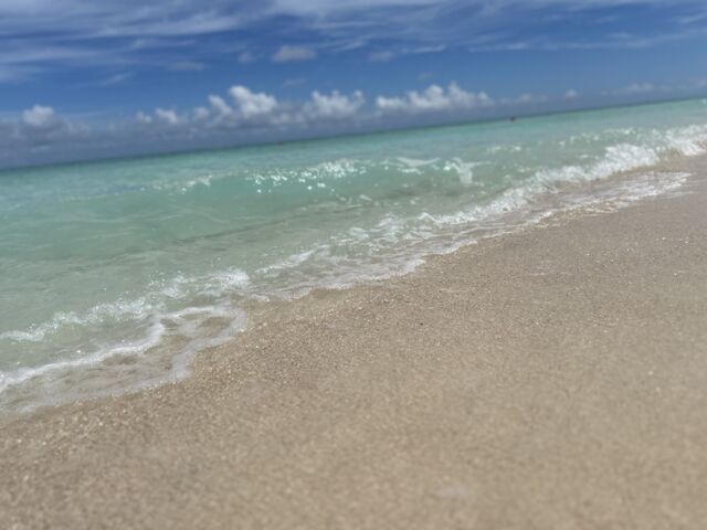 ͂Ă̕l_LЁ@vēGXR[gcA[Y