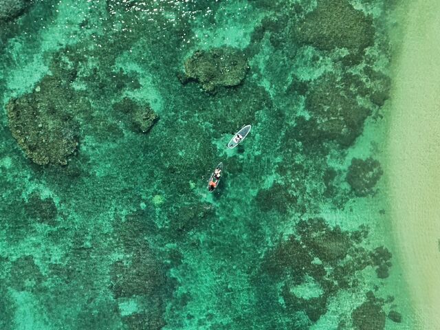 �Y��ȋ{�Ó��̊C�����\�ł��܂����I�I_���݂����