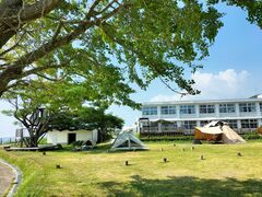 ɂɂ񂳂̃NT݊C̊wZւ̓eʐ^1