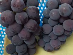 F����̐ԍ≀�ւ̓��e�ʐ^1