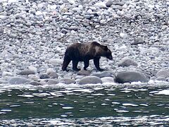 kawakami915̃SWό@JCbJN[U[mEgN[Yւ̓eʐ^1