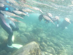 ͂邳̃wCY_Cuւ̓eʐ^1