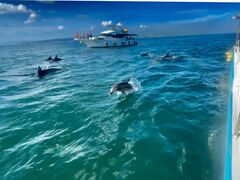 VόCJEHb`O htBN[Y̎ʐ^1