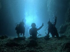 ͂̃_Cu (MalDive)ւ̓eʐ^1