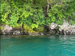 LOMĨOh@RIB Tripւ̓eʐ^1