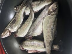 ���ɓ��t�B�b�V���t�@�[�� �}�X�ނ��̎ʐ^1