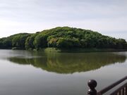 Ђ낳̃jTUCÕ̓eʐ^2