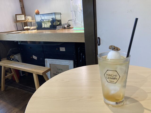 �I�I�X�Y���o�`�ƍ��X�Y���o�`�i�w�{�j���g�����h�����N_�����HTAKEO �󑐖{�X