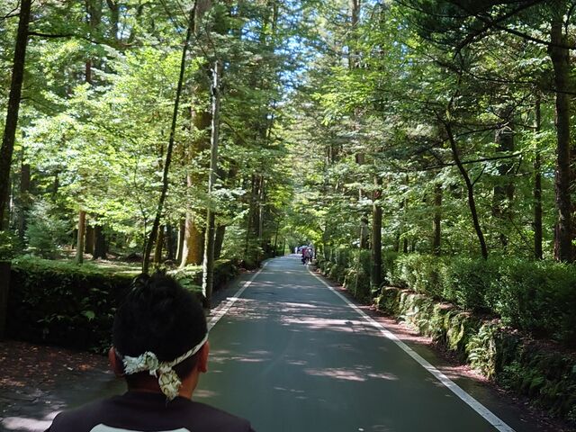 SnƂĂ悩ł_yόl͎ԂĂł