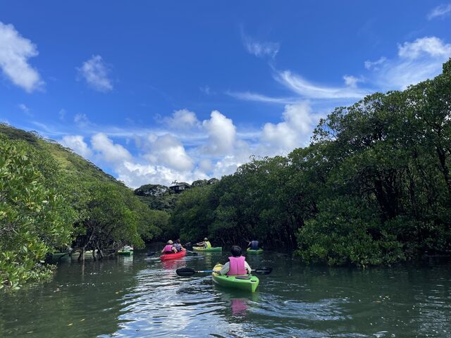 όptbgɂoĂ}O[uтi݂܂_}O[u