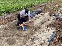 ��������񂳂�̉��c�_���ւ̓��e�ʐ^1