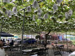 p񂳂݂̂͂炵̐ʉւ̓eʐ^1