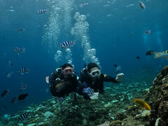 ͂邩񂳂̕ւ̓eʐ^1