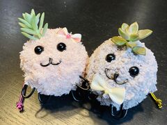 肳̂Ƃ͉̂Yւ̓eʐ^1