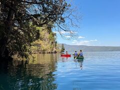 H̐AEghAZ^[(X)ւ̓eʐ^1