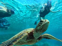 ҁ[₳̃I[X[Vm[P{Óւ̓eʐ^1