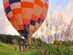 �ɂ����[�����mate�ւ̓��e�ʐ^1