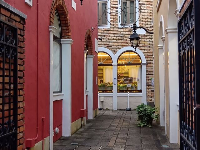 ���H������_���E���B�[�^�i���R���u�̃x�j�X�j