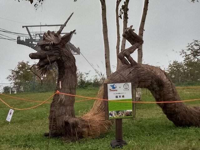 �R���ɂ��܂����B_�c��X�L�[��