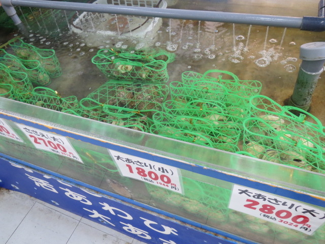 ΐF̖Ԃ@ɃTUGATՂ_̉wɐuYكXg