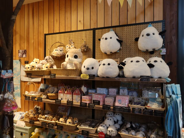 yosshỷԂ̋_i͂Ȃӂj̓eʐ^2