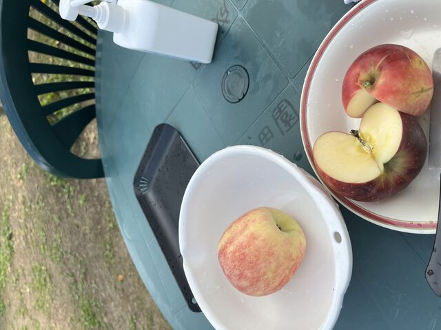 �e�[�u���ŐH�ׂ�܂�_���c��