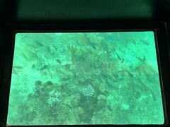 Ђ܂肳̂܂͂邭ւ̓eʐ^1