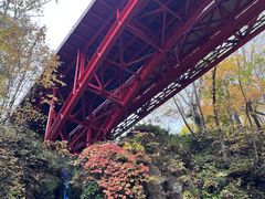 {̖삠уx[X ttXtւ̓eʐ^1