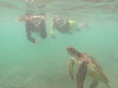 ktb`nico {Óւ̓eʐ^1