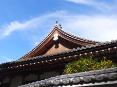 �j�R����񂳂�̉~�o���ւ̓��e�ʐ^1